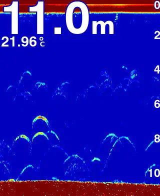 Fishfinder Fish icons