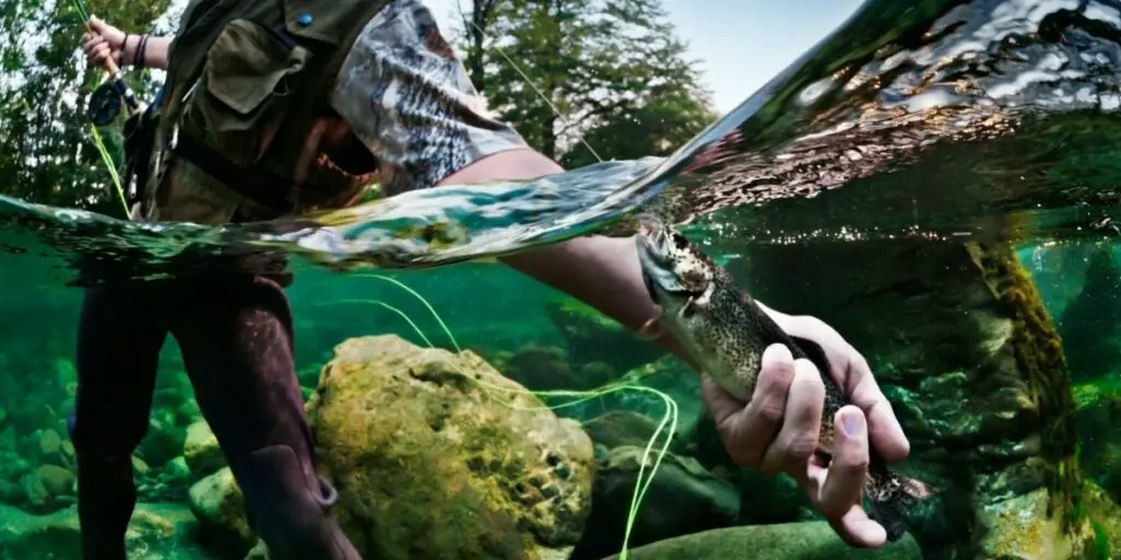 river fishing with a fish finder