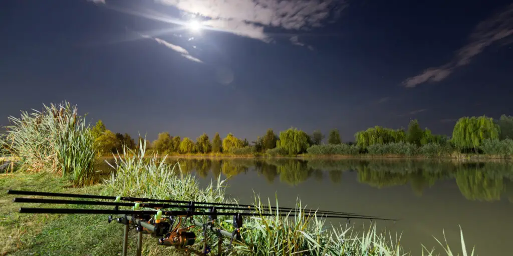 moon light fishing