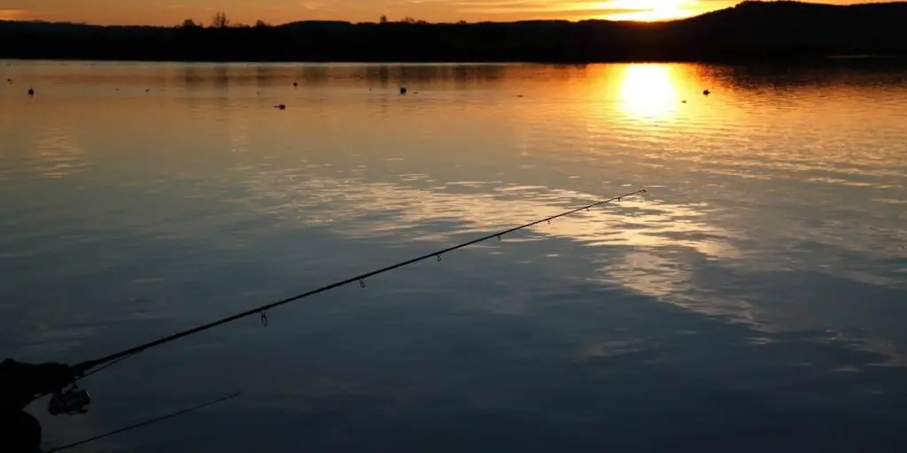 Is It Legal to Fish at Night