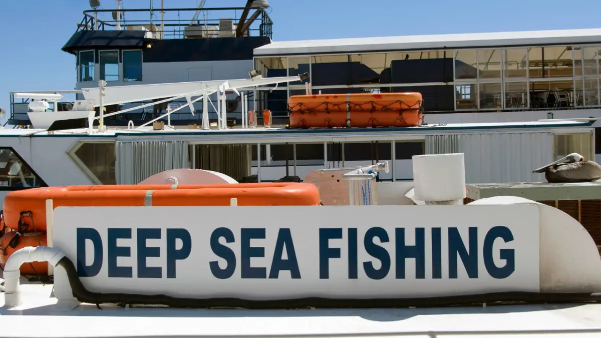 How Much Does It Cost to Go Deep-Sea Fishing? - FishFinder HQ