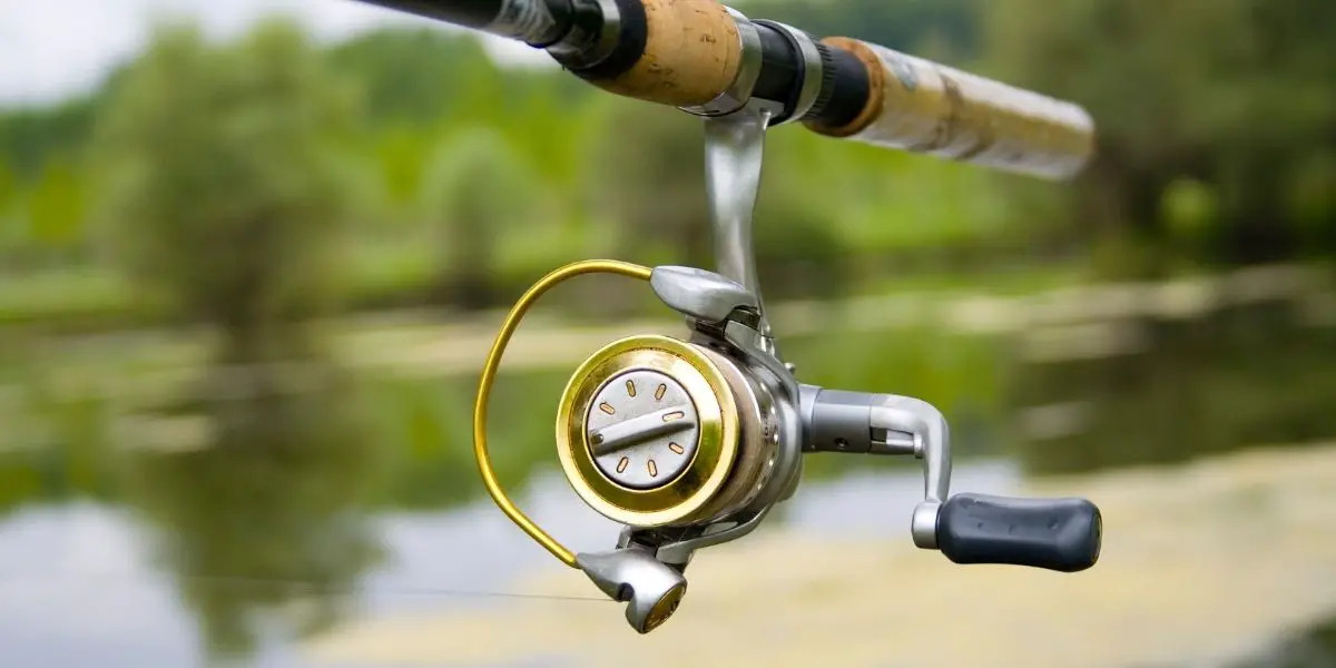 Best Spinning Reel for Bass Fishing in 2026 ⋆ Tackle Scout Best bass spinning reel