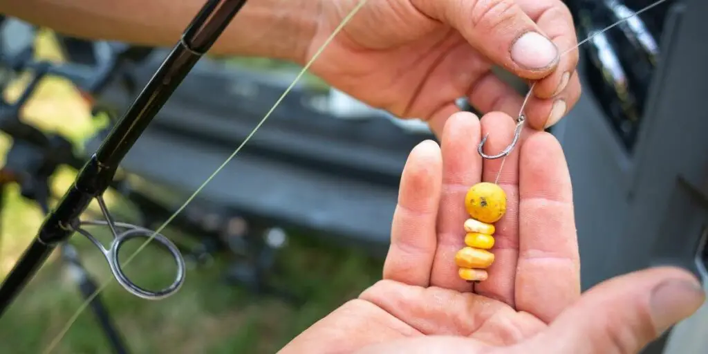 sweetcorn fishing bait