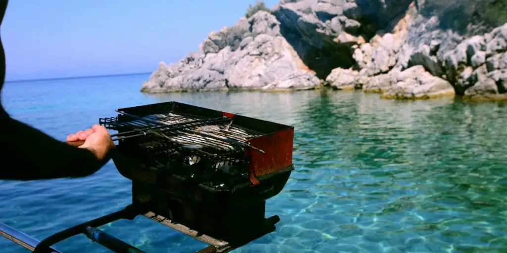 best pontoon grill