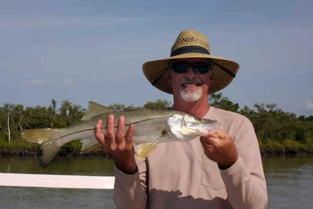 Complete Guide to Baits and Lures for Snook Fishing FishFinder HQ