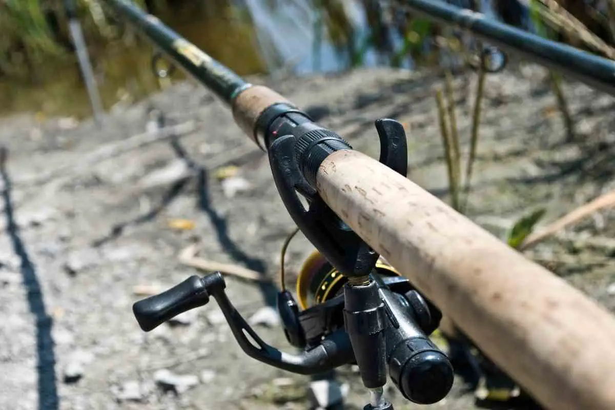 Can You Fish Without Bait? FishFinder HQ