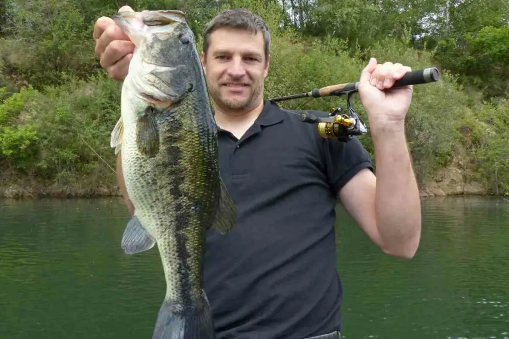Pond bass fishing tips